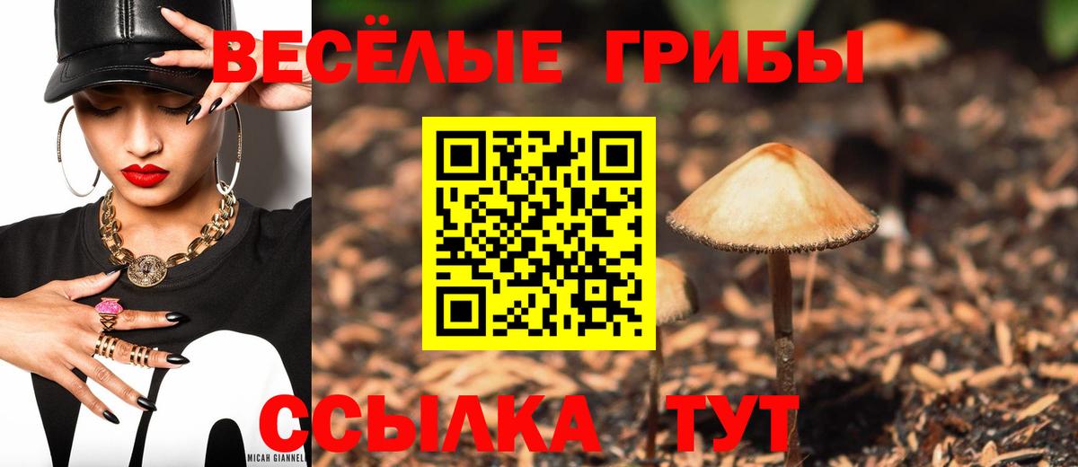 Псилоцибиновые грибы мицелий Балтийск