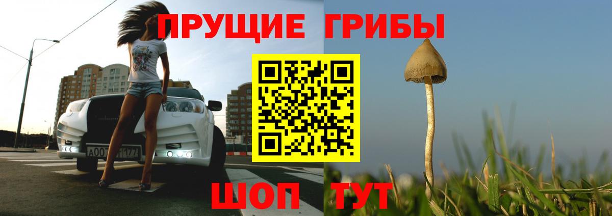 Псилоцибиновые грибы прущие грибы  Вход с VPN  Балтийск 